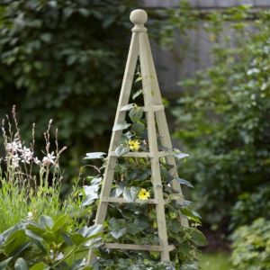 Garden Obelisk