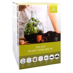 Plant Terrarium