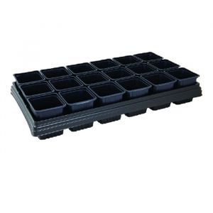 Potting on Tray