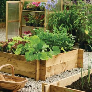 Raised Vegetable Bed Kit