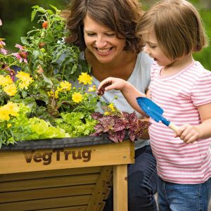 Raised Planter