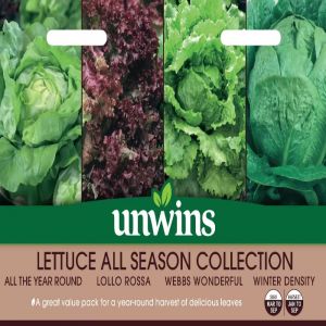 Lettuce Seeds