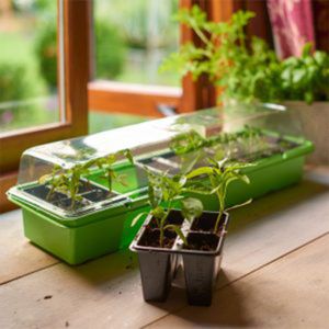 Propagator