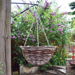 14 Inch Hanging Basket