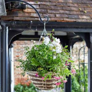 14 Inch Hanging Basket