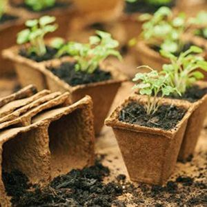 Fibre Plant Pot
