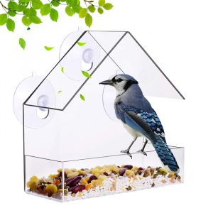 Window Bird Feeder