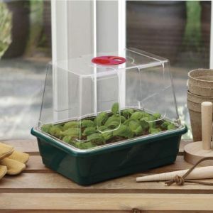 Mini Propagator