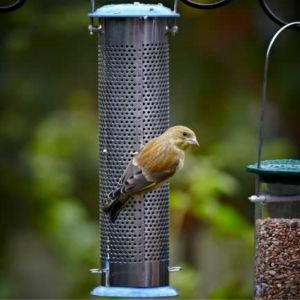 Nyjer Seed Feeder