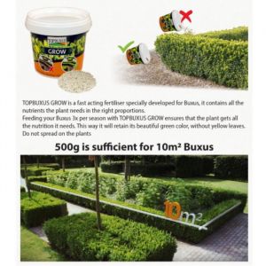 Boxwood Fertilizer