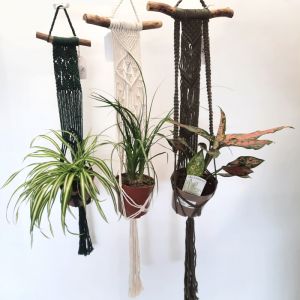 Hanging Plant Holder