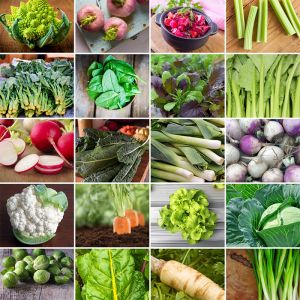 How to Grow Winter Vegetables