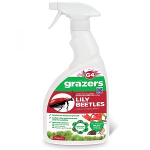 Lily Beetles Deterrent