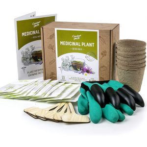 Medicinal Herbs Growing Kit