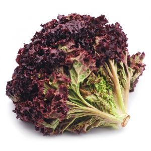 Red Leaf Lettuce