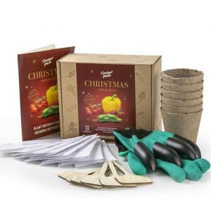 Christmas Seed Growing Kit