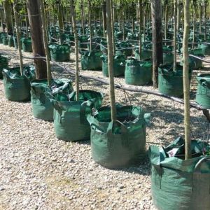 Tree Planter Bags