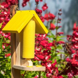 Butterfly & Bee Nectar Feeder