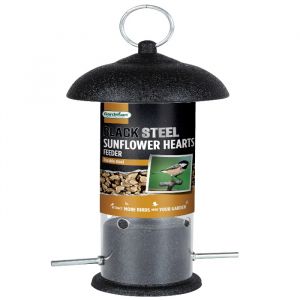 Sunflower Seed Bird Feeder