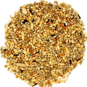 Wild Bird Seed