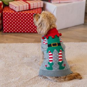 Christmas Dog Jumper