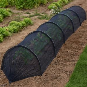 Grow Tunnel