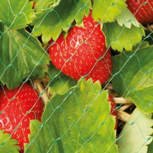 Fruit & Crop Netting