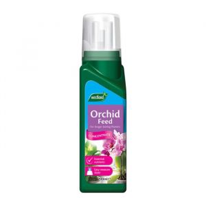 Orchid Plant Food
