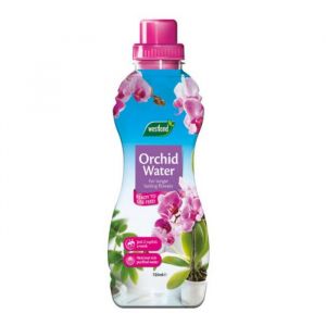 Orchid Feed