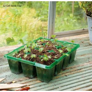 Cell Seed Trays