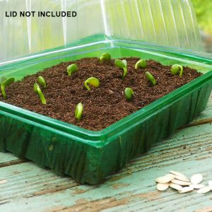 Seedling Tray