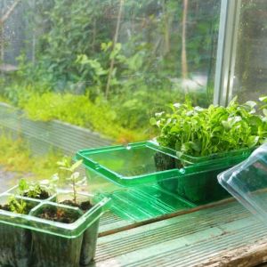 Windowsill Propagators