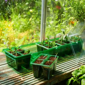 Windowsill Propagators