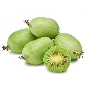 Kiwi Plants