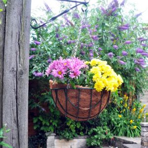 12 Inch Hanging Basket