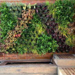 Living Wall Planter Kit