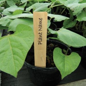 Wooden Planting Labels