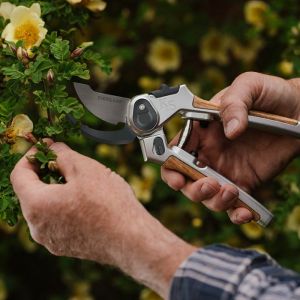 Pruning Secateurs