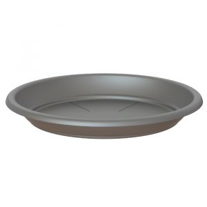 Anthracite Saucer