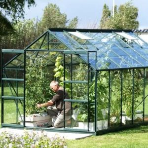 8x10 Greenhouse