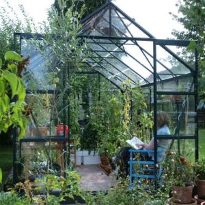 10x8 Greenhouse