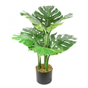 Artificial Cheese Plant