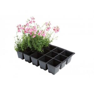 Cell Seed Trays