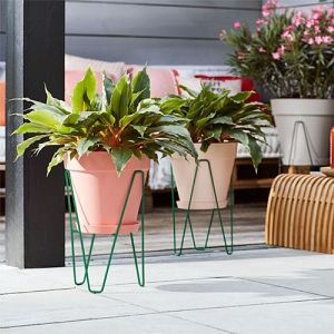 Plant Stand