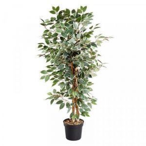 Artificial Ficus Tree