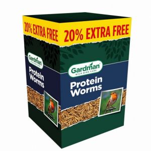 Dried Worms