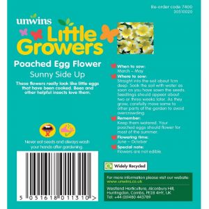 Pouched Egg Flower Seeds