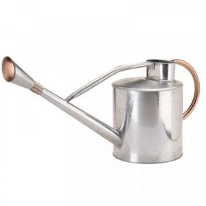 Long Reach Watering Can