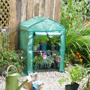 Mini Greenhouse