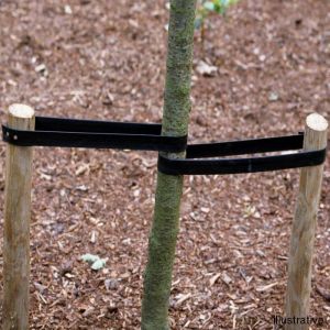 Round Tree Stakes